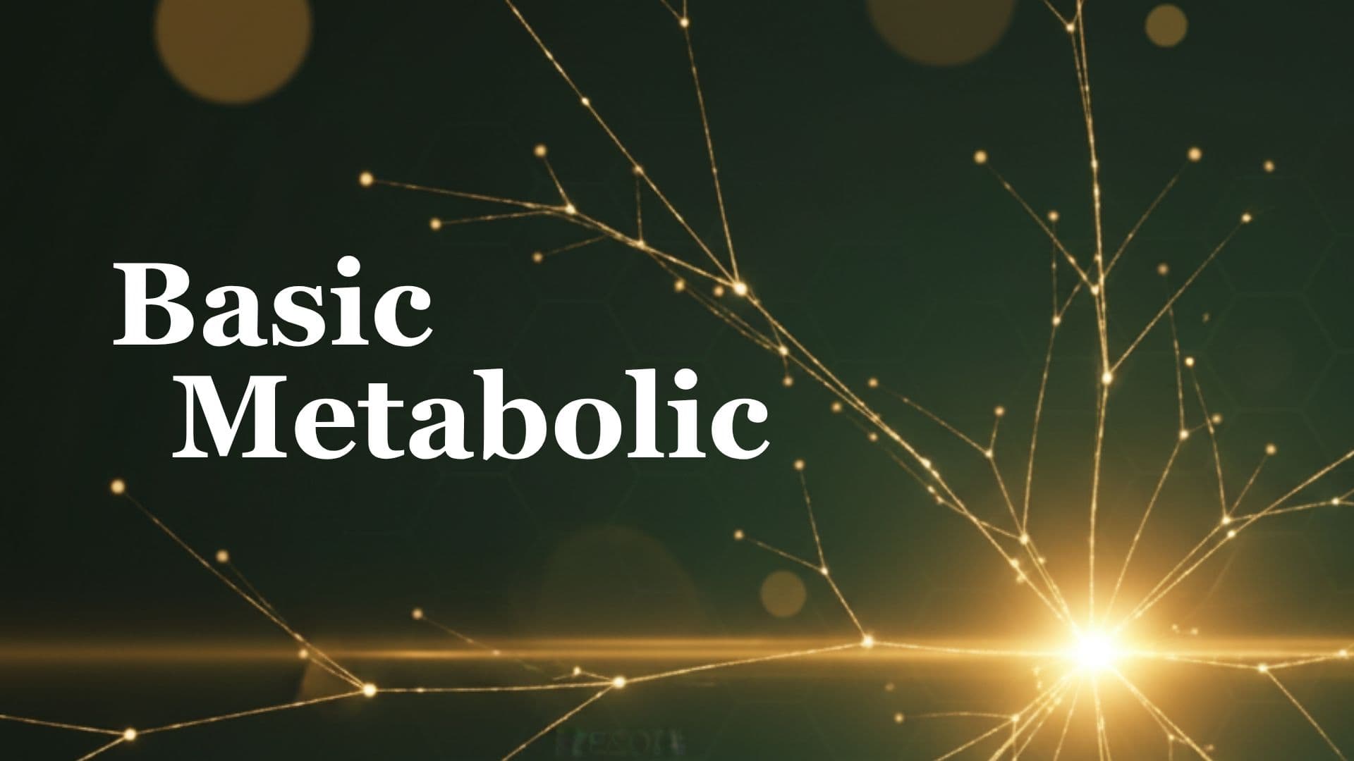 Basic Metabolic